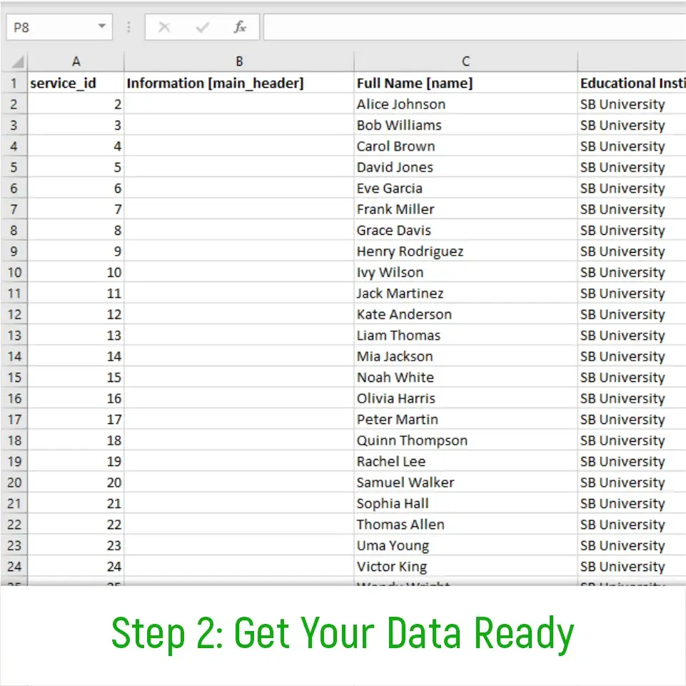 Step 2: Example of a spreadsheet template formatted correctly for bulk NFT credential import.