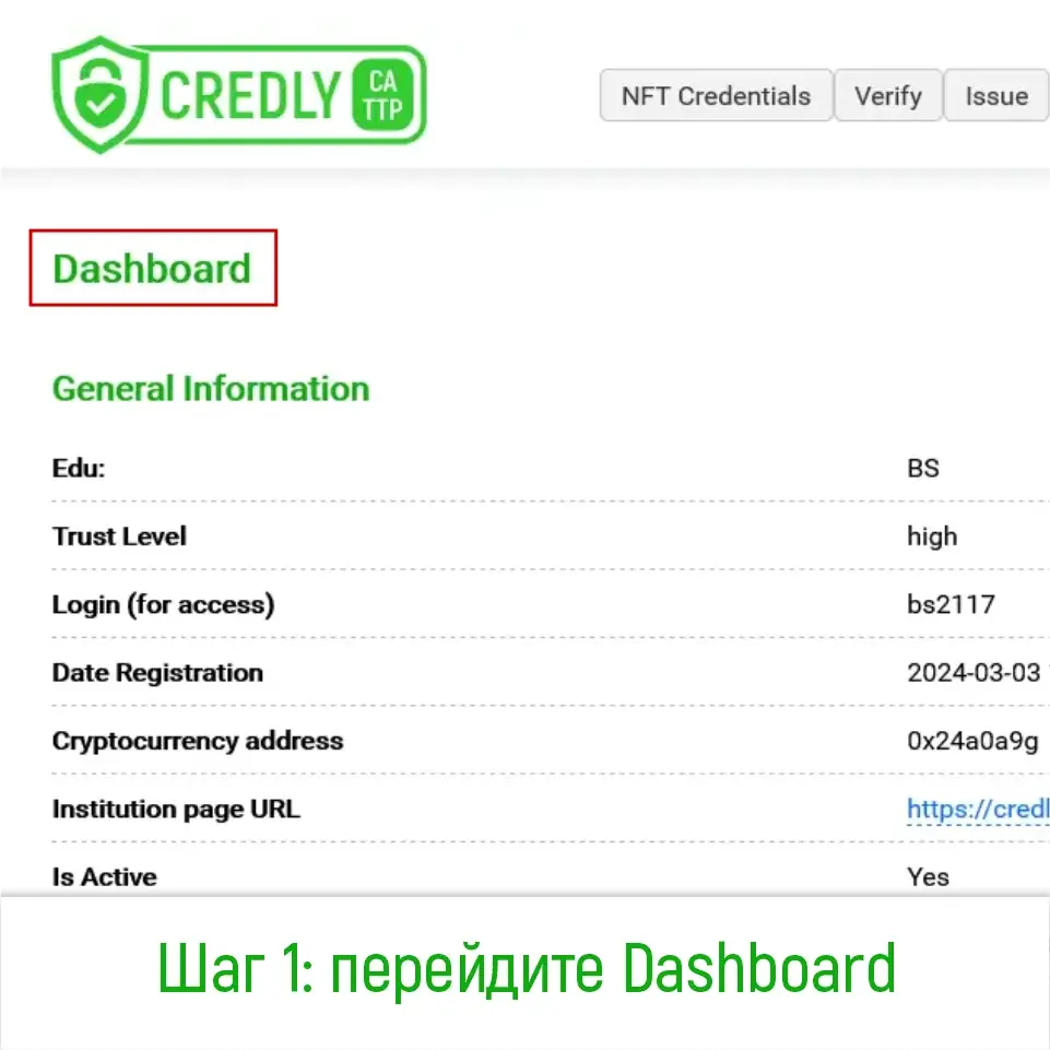 Шаг 1: Доступ к главной панели управления Credly.study для начала создания NFT диплома с индивидуальным дизайном.